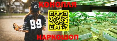 метадон Кингисепп