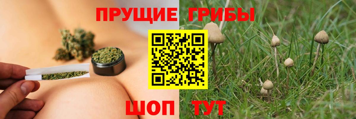 Конаково  Псилоцибиновые грибы мухоморы  Псилоцибиновые грибы мицелий  наркотики  Вход с VPN 